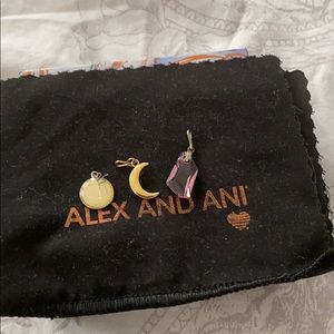 Alex and Ani charms
